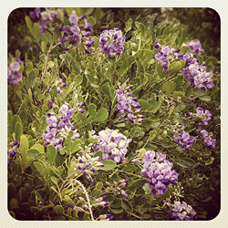 Cocolation @ Instagram