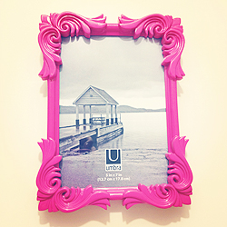 Pink Umbra Picture Frame from Ross
